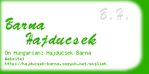 barna hajducsek business card